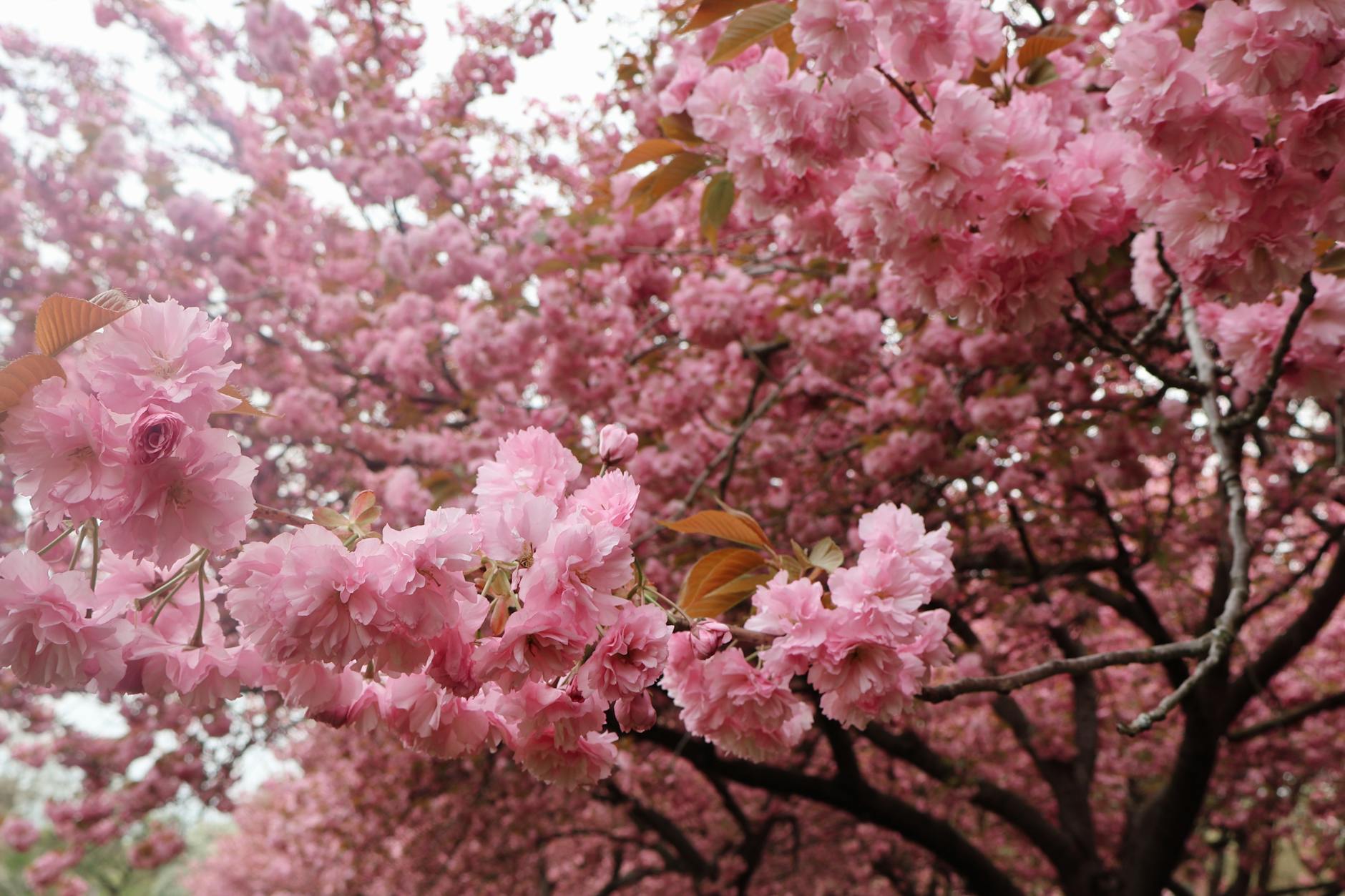 Illustration zu Vollmond April