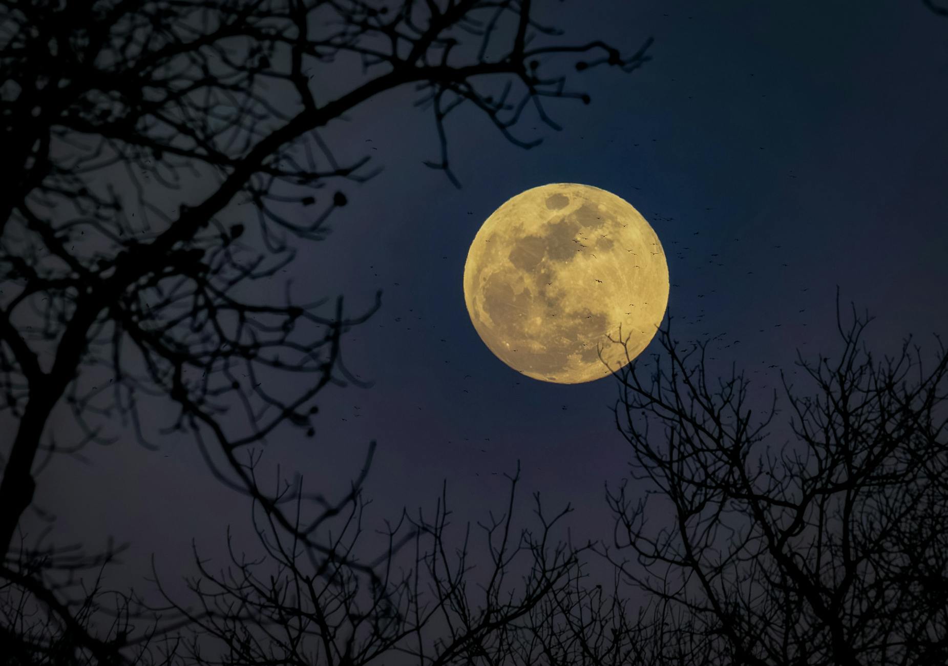 Symbolbild zum Thema Vollmond April