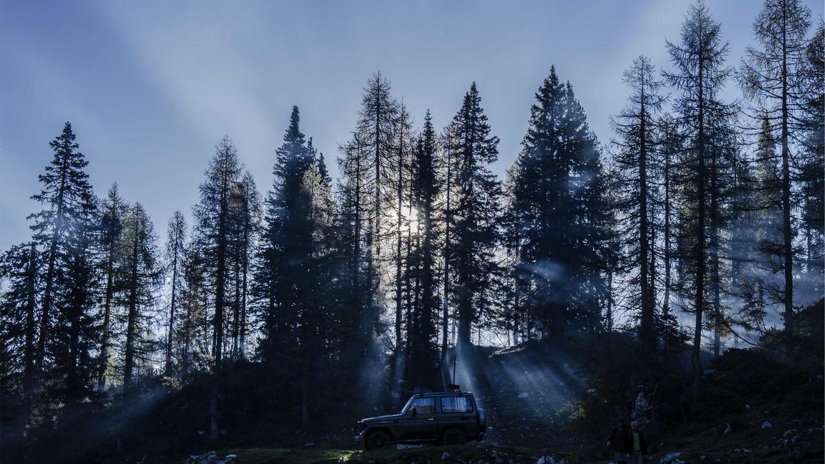 Detailansicht: VW Sparprogramm