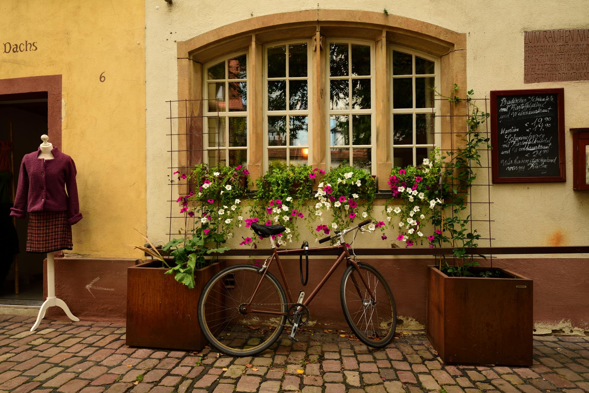 Detailansicht: Wahlkampf Störung Freiburg