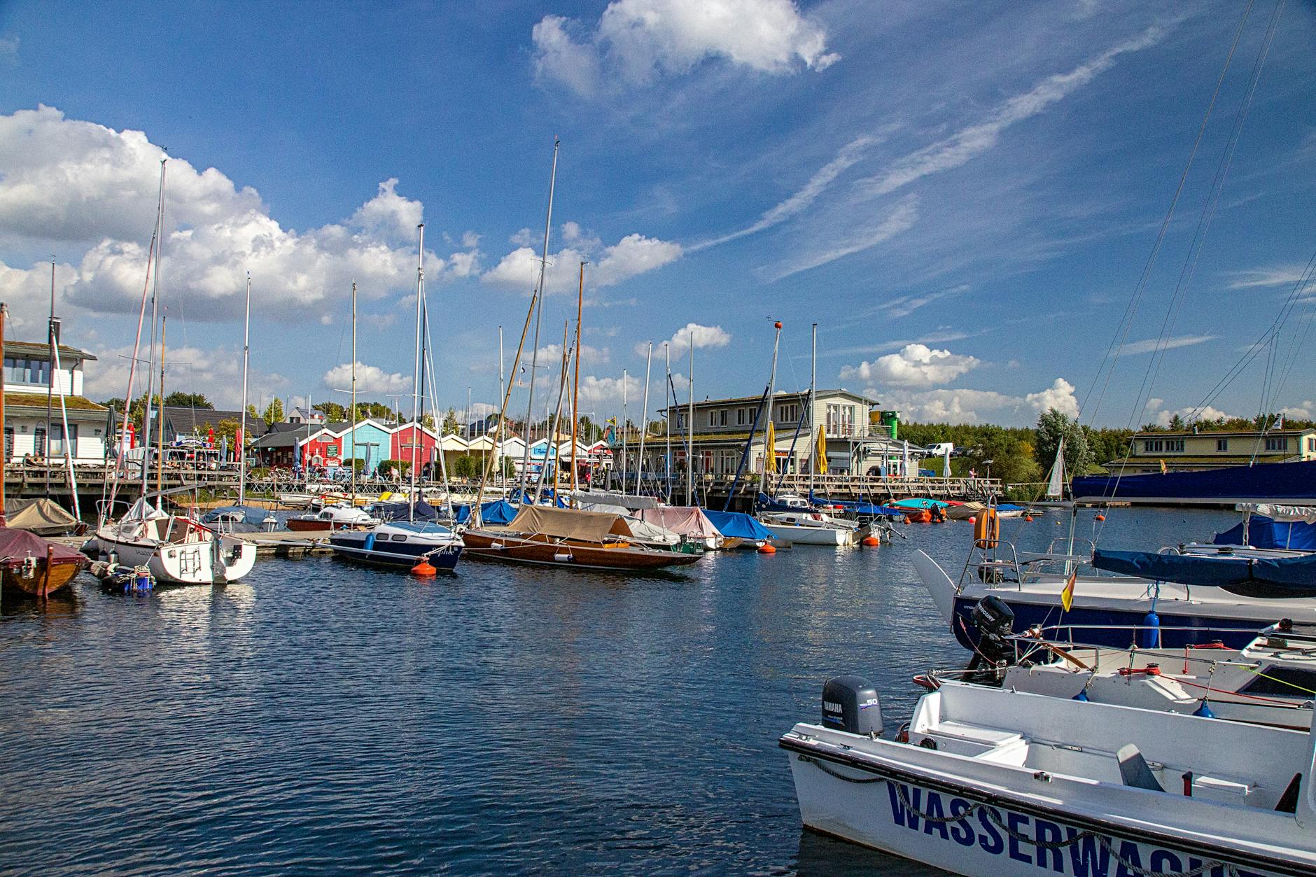 Illustration zu Wal Insel Poel