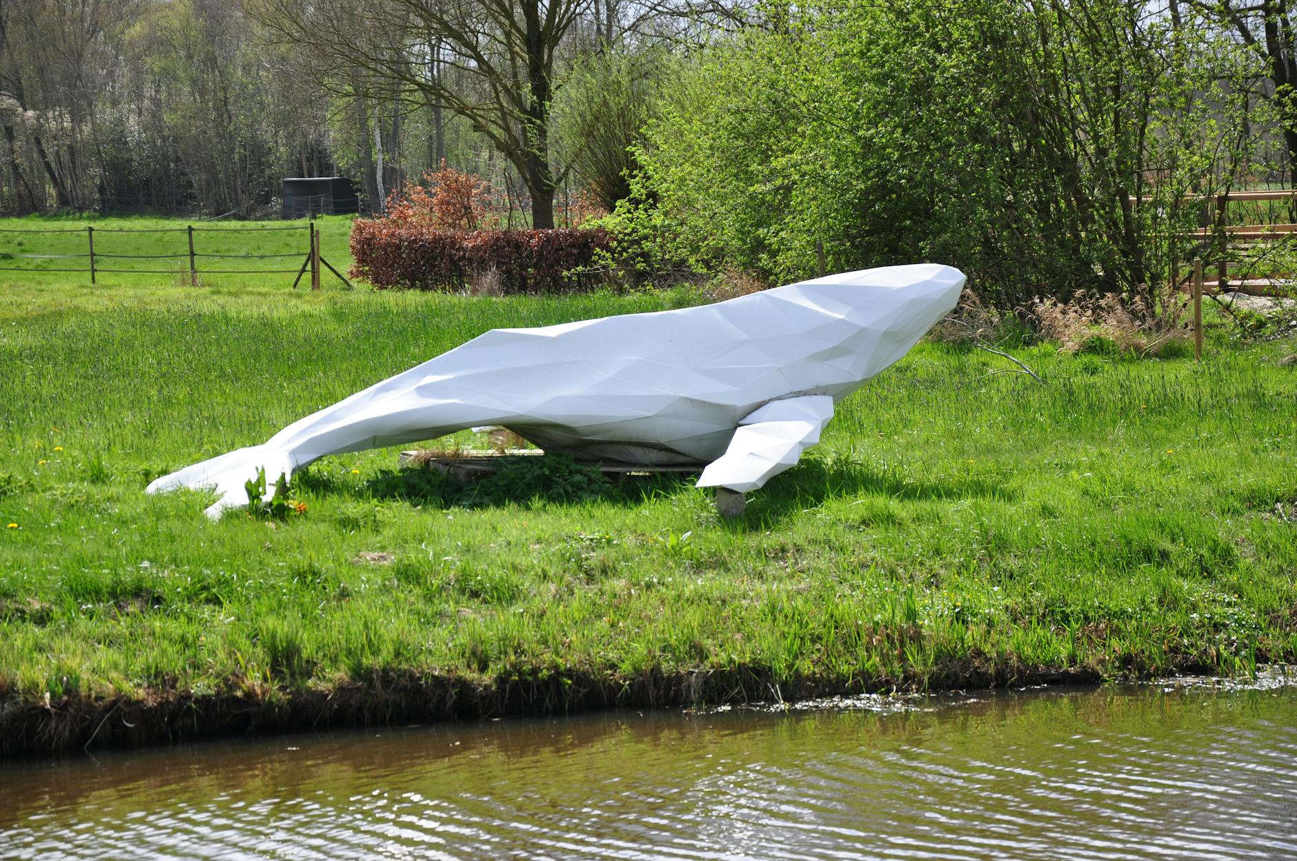 Symbolbild zum Thema Wal Insel Poel