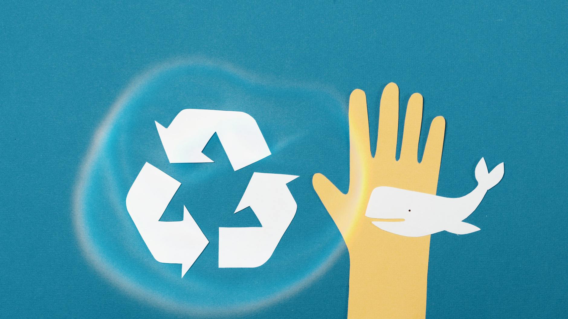 Illustration zu Wal Rettung