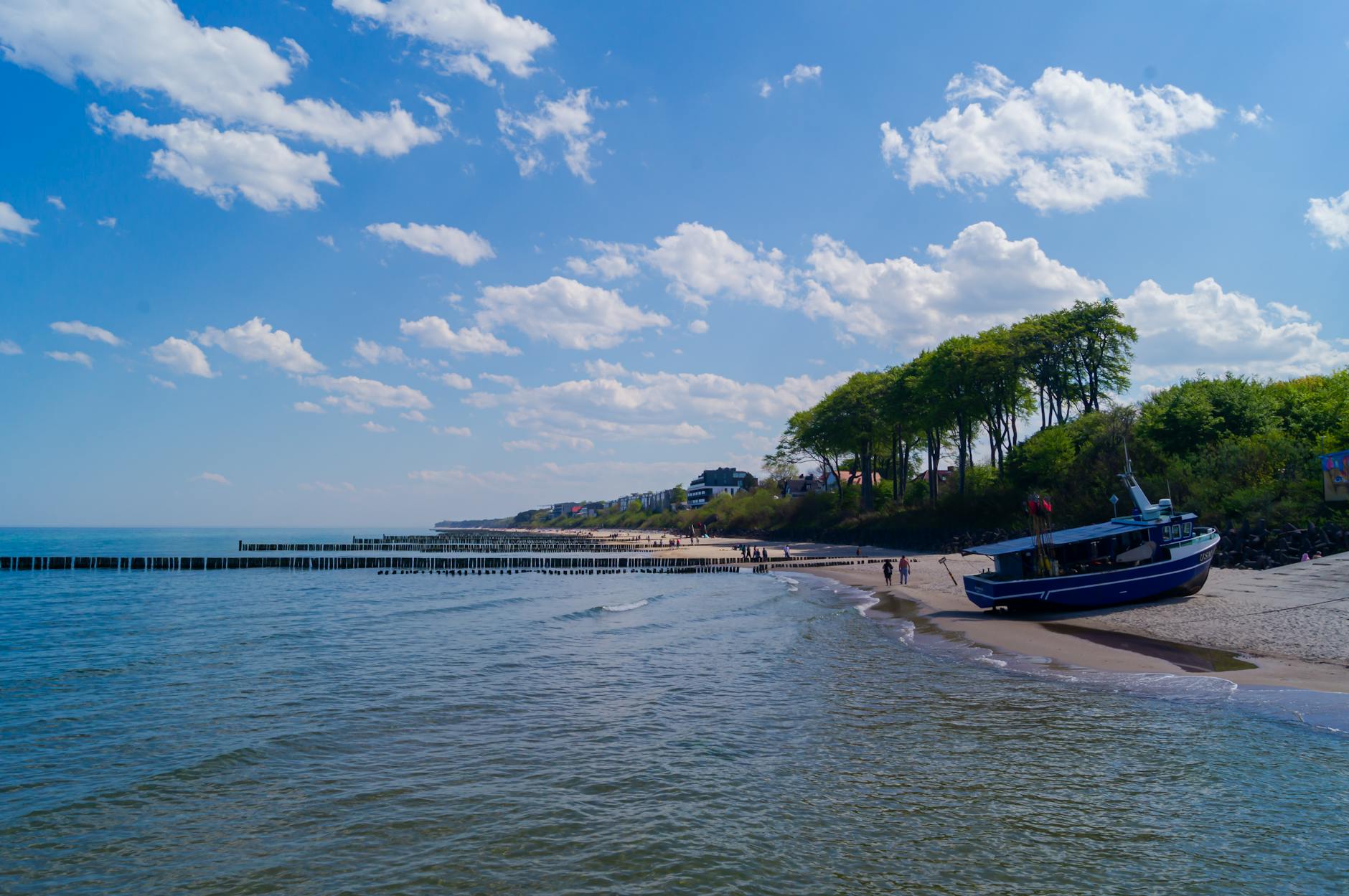 Illustration zu Wal Strandung Ostsee