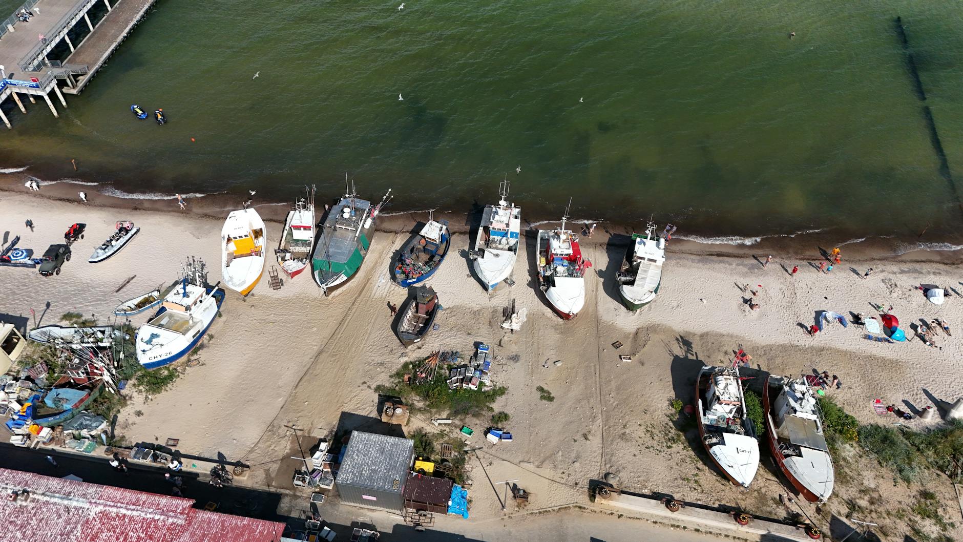 Illustration zu Wal Strandung Ostsee