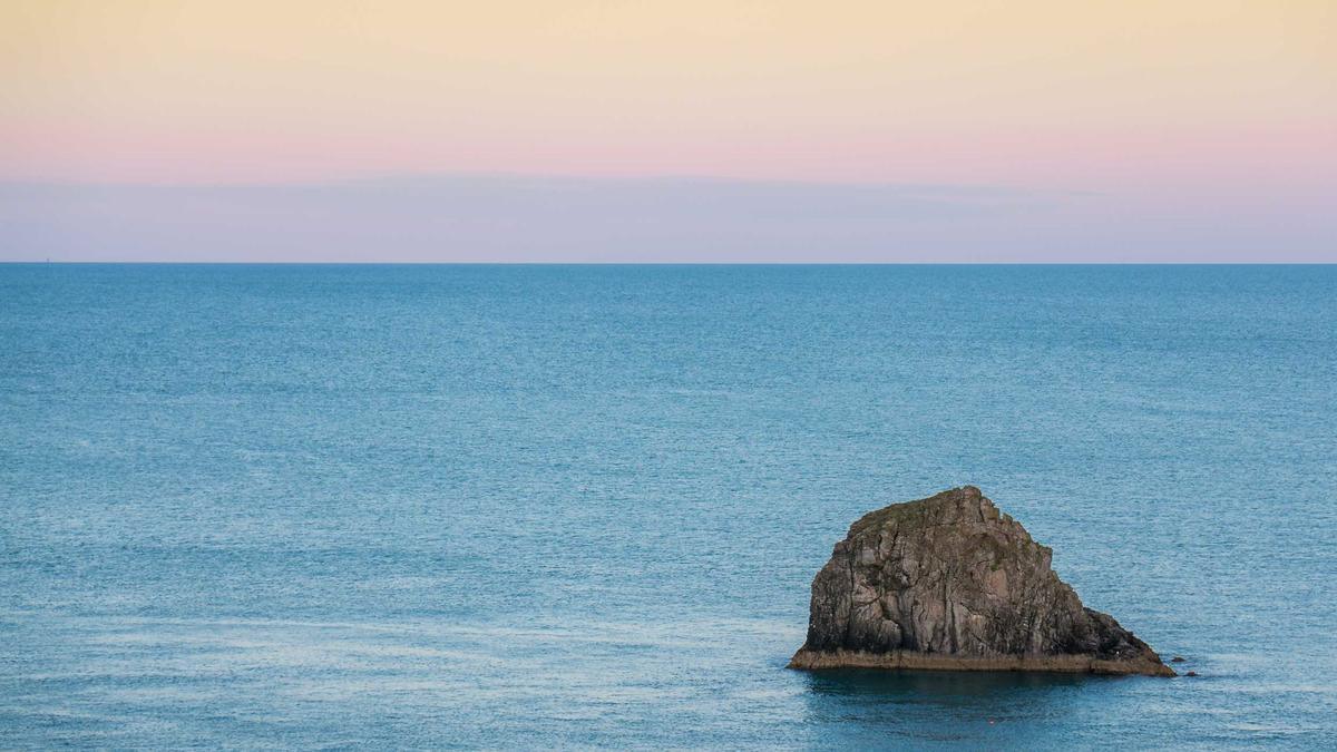 Detailansicht: Wal Timmendorfer Strand