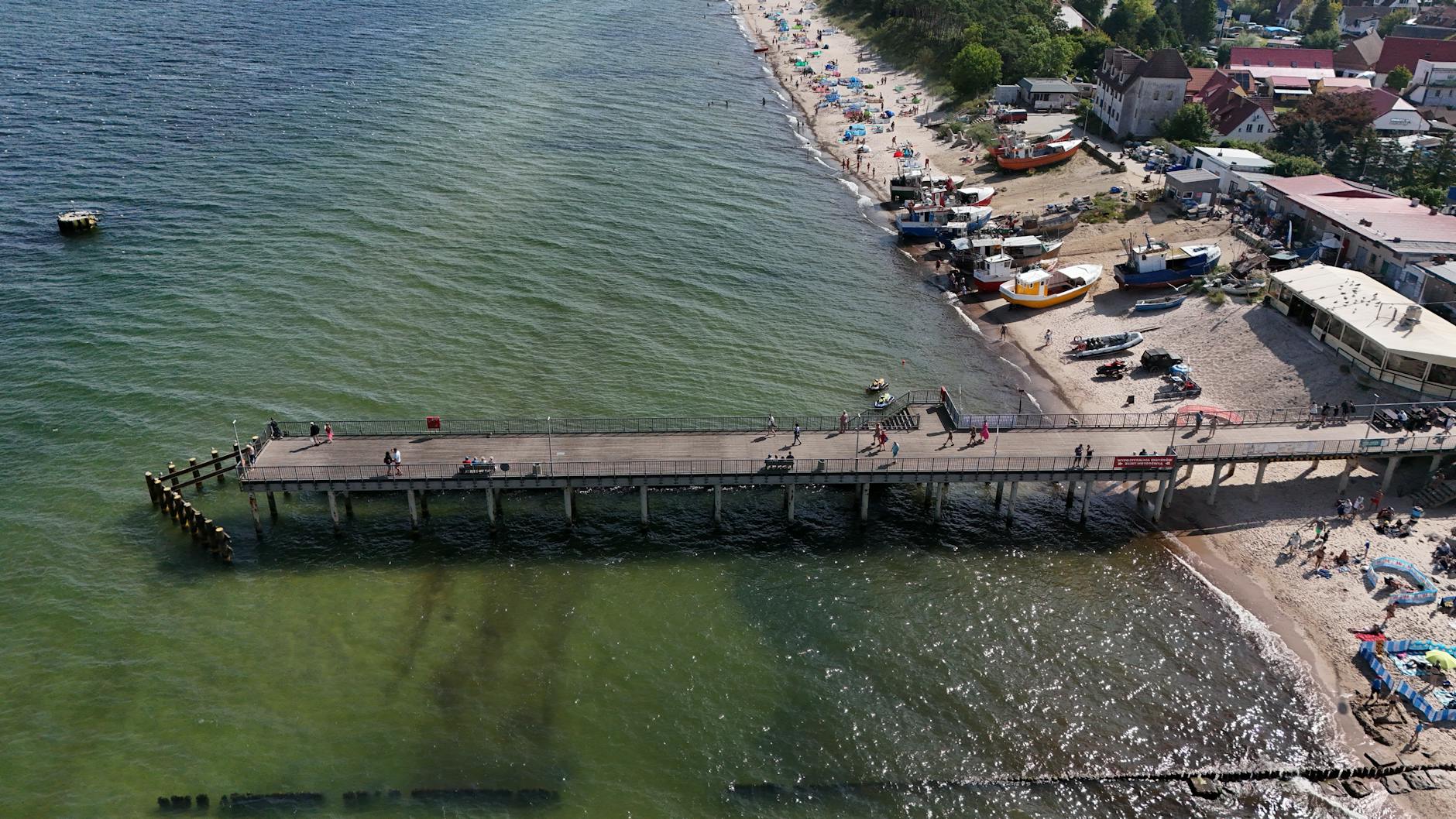 Illustration zu Wal Vor Poel