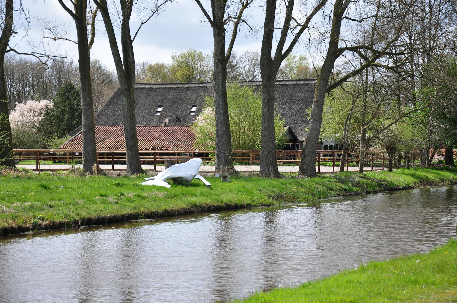 Symbolbild zum Thema Wal Vor Poel