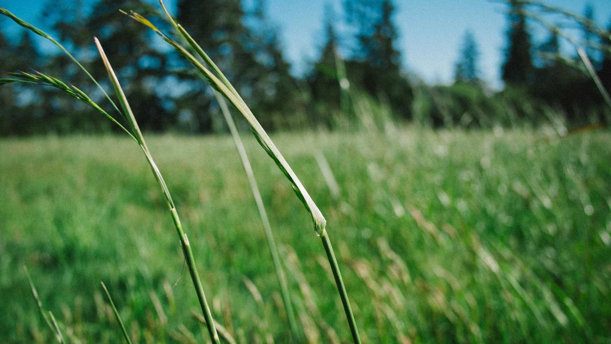 Symbolbild zum Thema Wallis Lawinengefahr