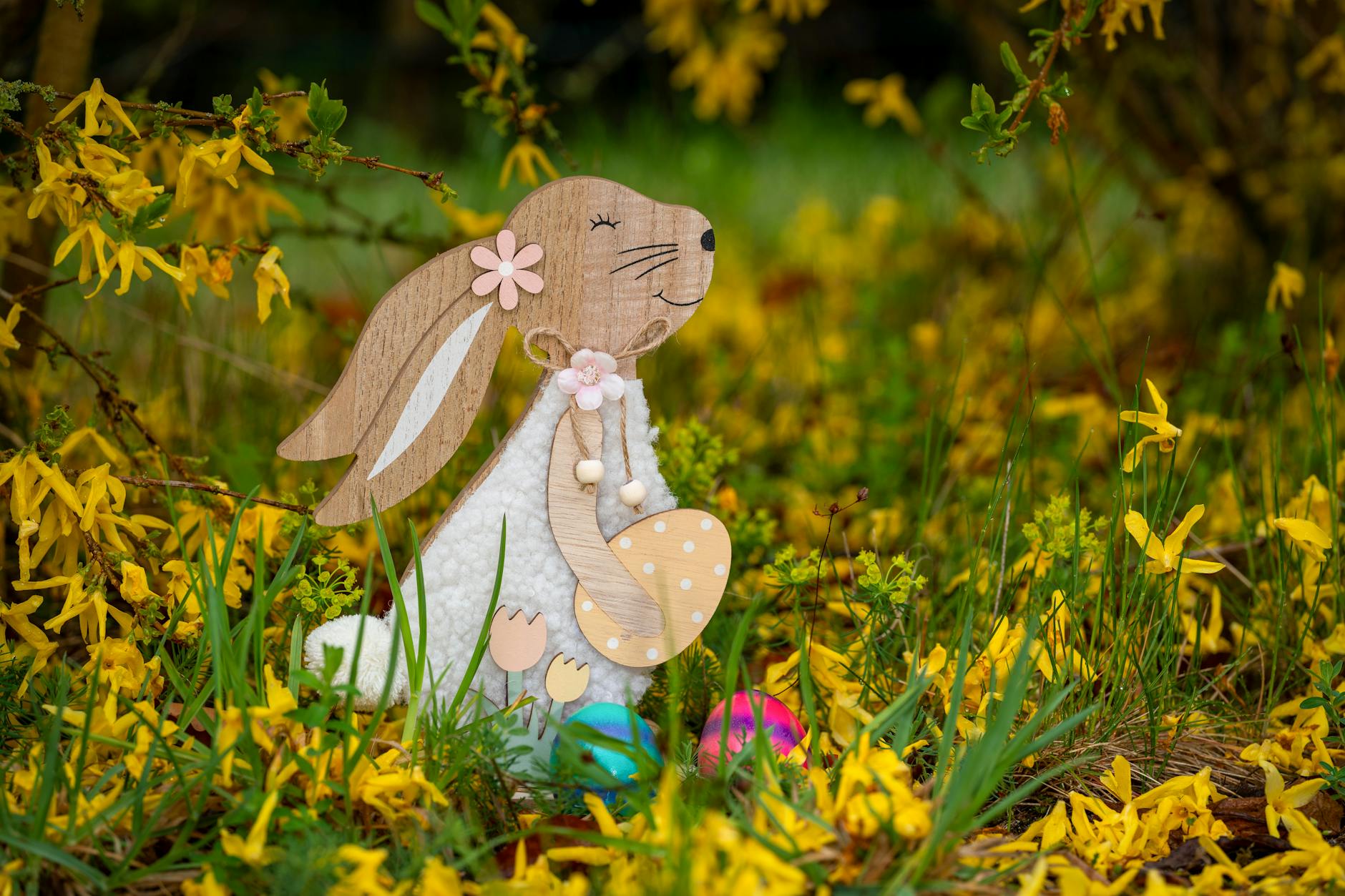 Detailansicht: Was Passiert Mit Osterhasen