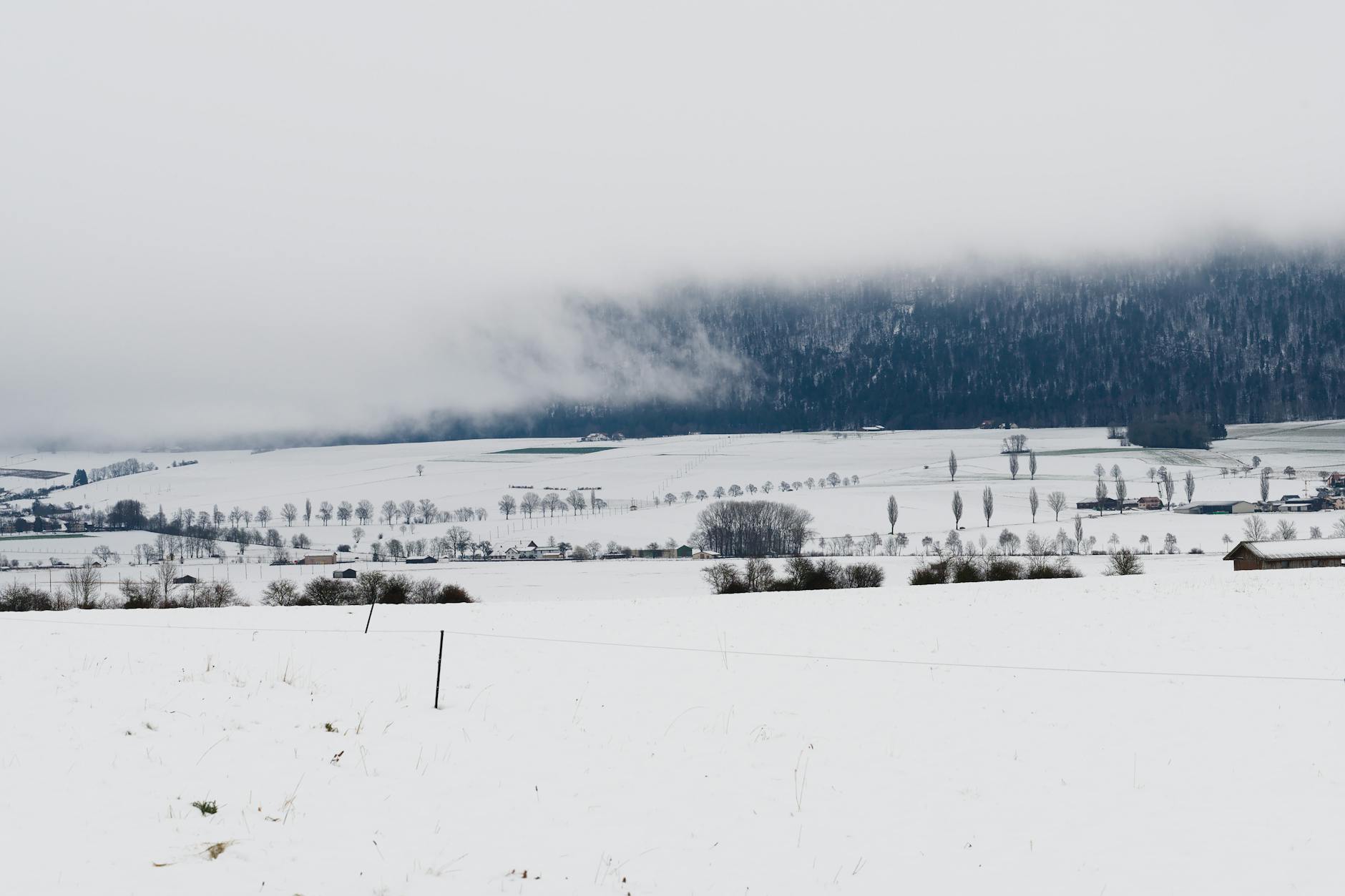 Illustration zu Wasserrohrbruch Biel