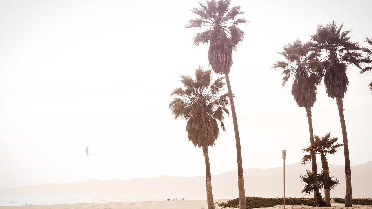 Illustration zu Weinernte Deutschland