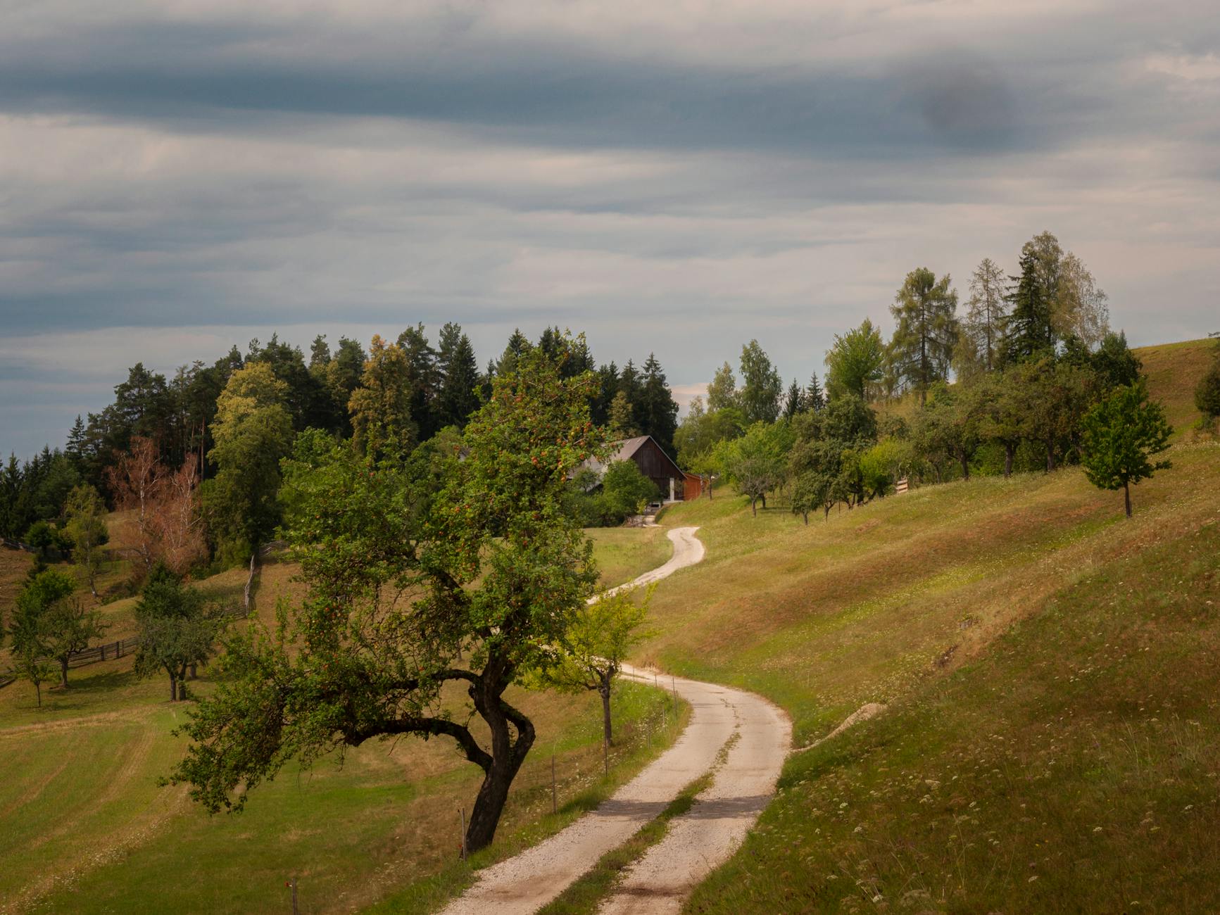 Symbolbild zum Thema Wels – Austria Klagenfurt