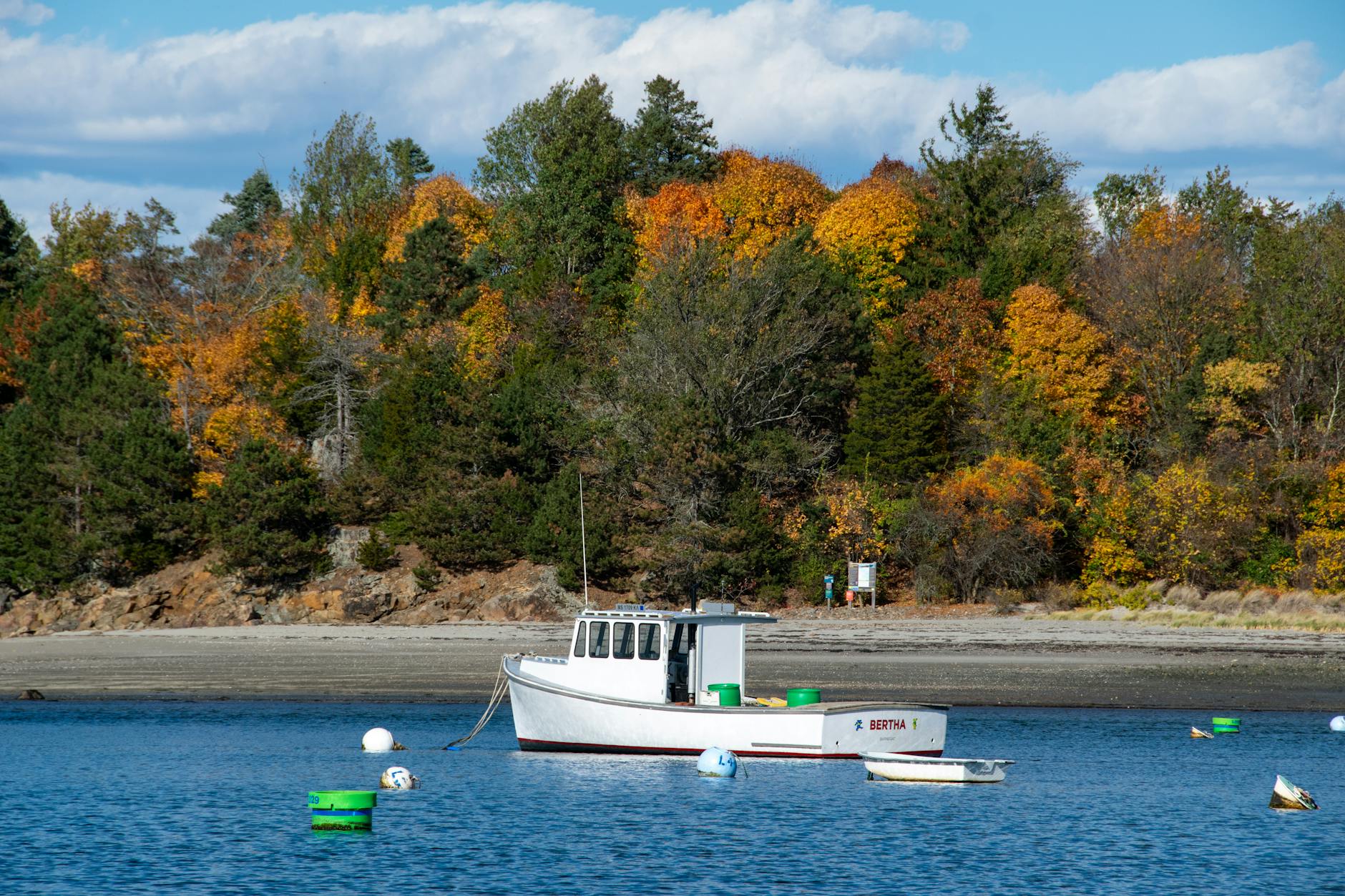 Detailansicht: West Indies VS England