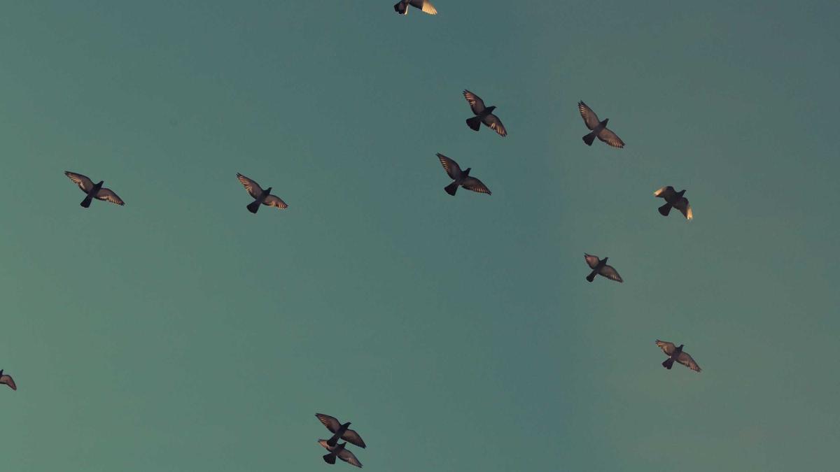 Detailansicht: Wetter Mannheim