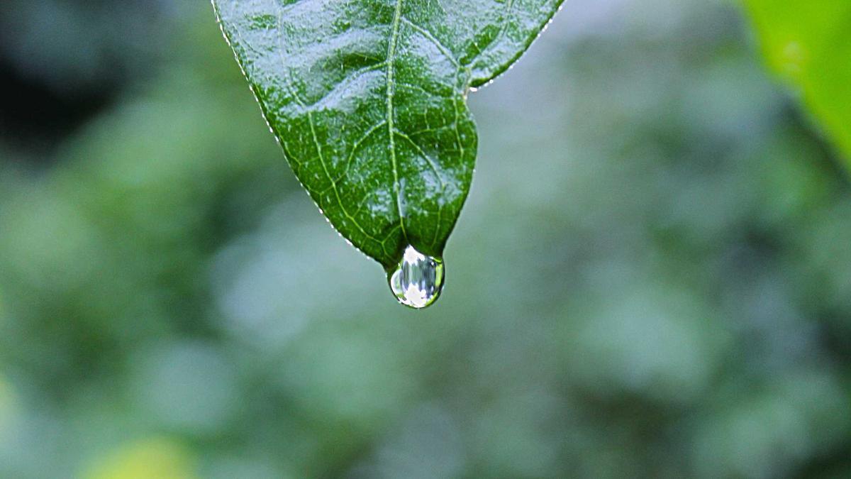Symbolbild zum Thema Wetter Ostern 2026