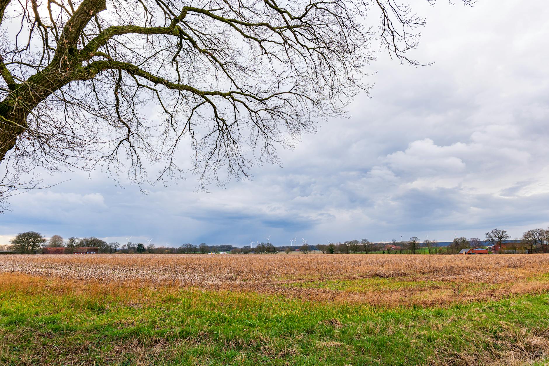Detailansicht: Wettervorhersage Wochenende