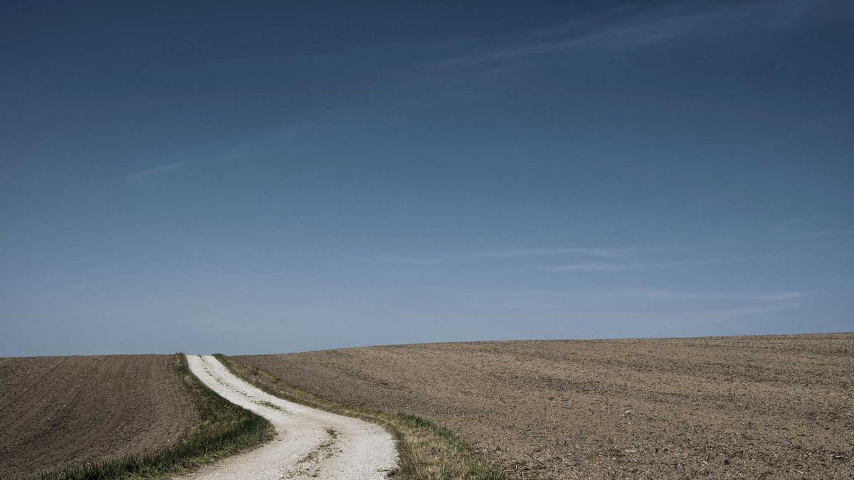 Detailansicht: Whistle Film 2025