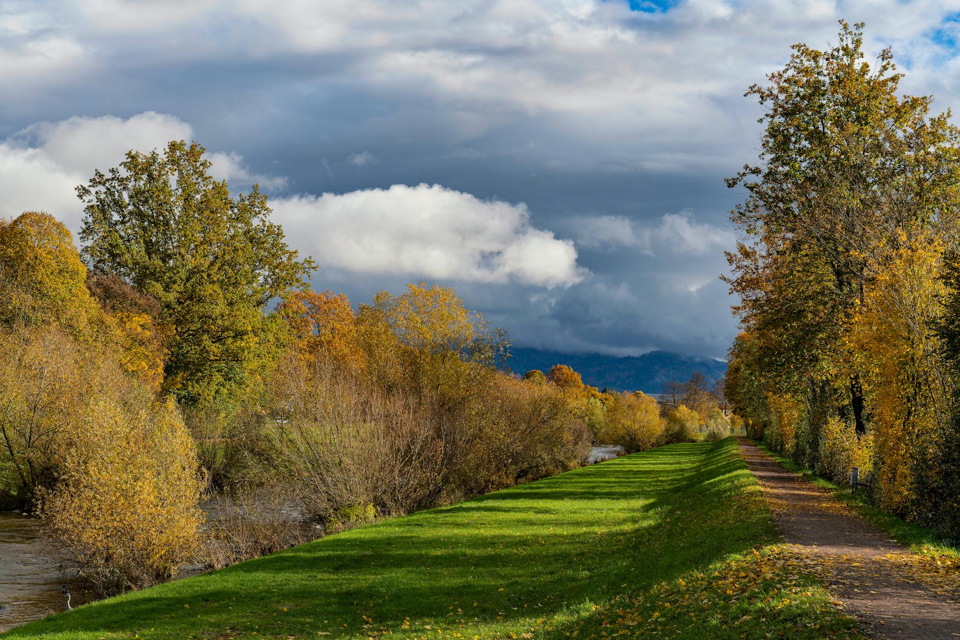 Illustration zu Wildunfall Emmendingen