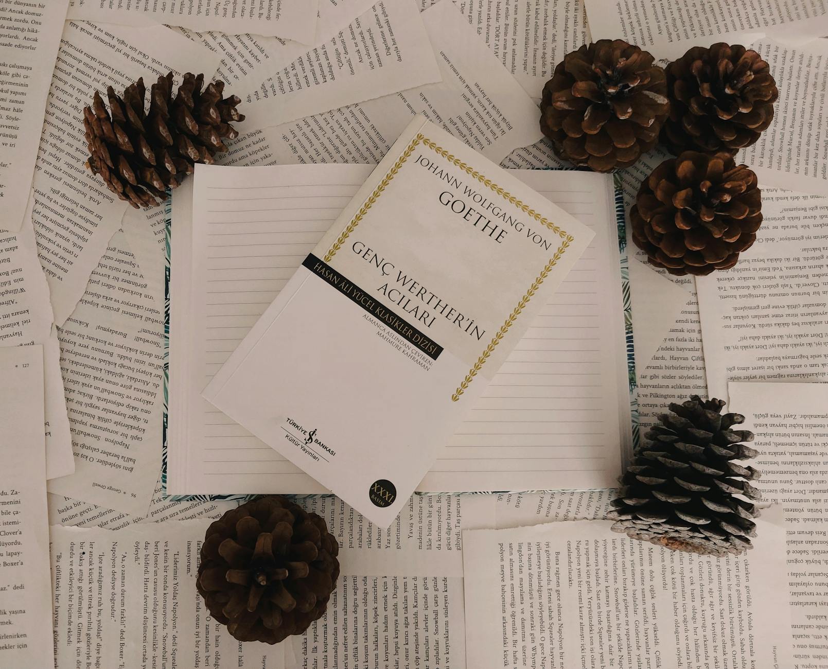 Illustration zu Wolfgang Pichler