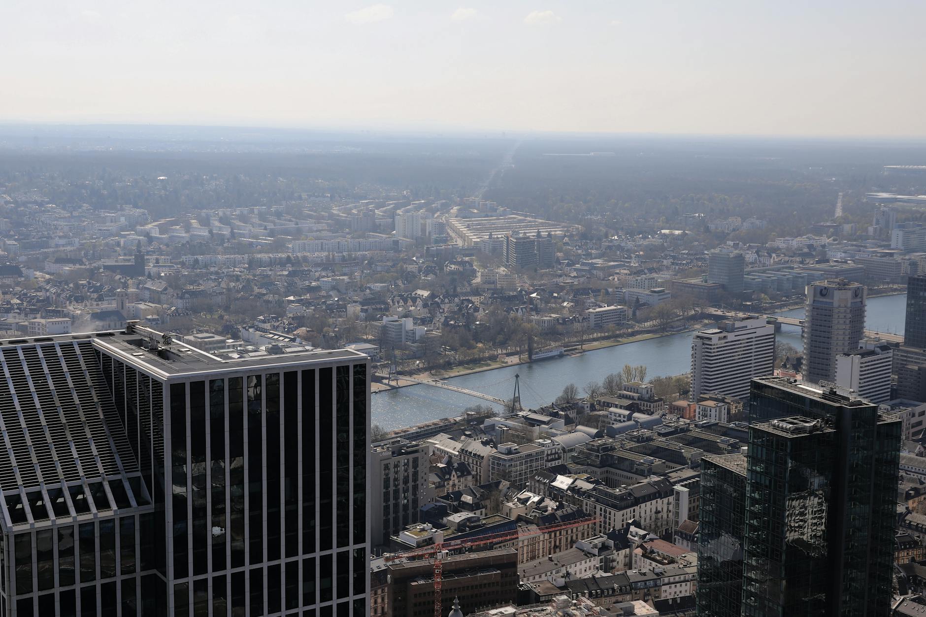 Detailansicht: Wolfsburg – Eintracht Frankfurt