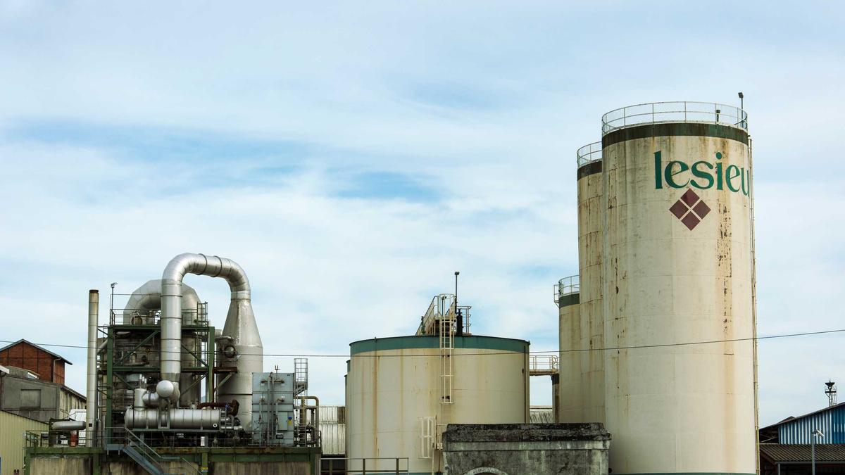 Illustration zu WSG Tirol – Ried