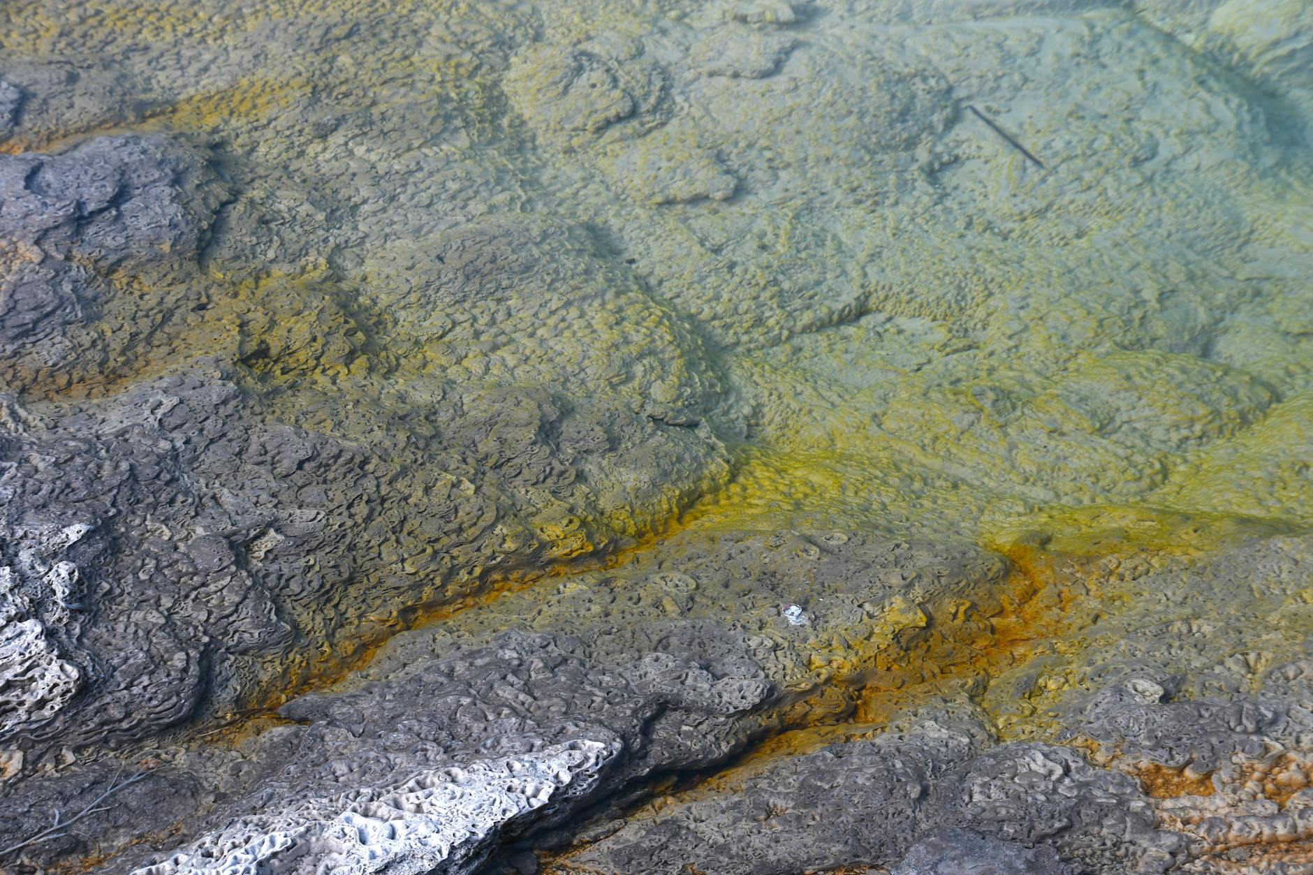 Illustration zu Yellowstone Fortsetzung