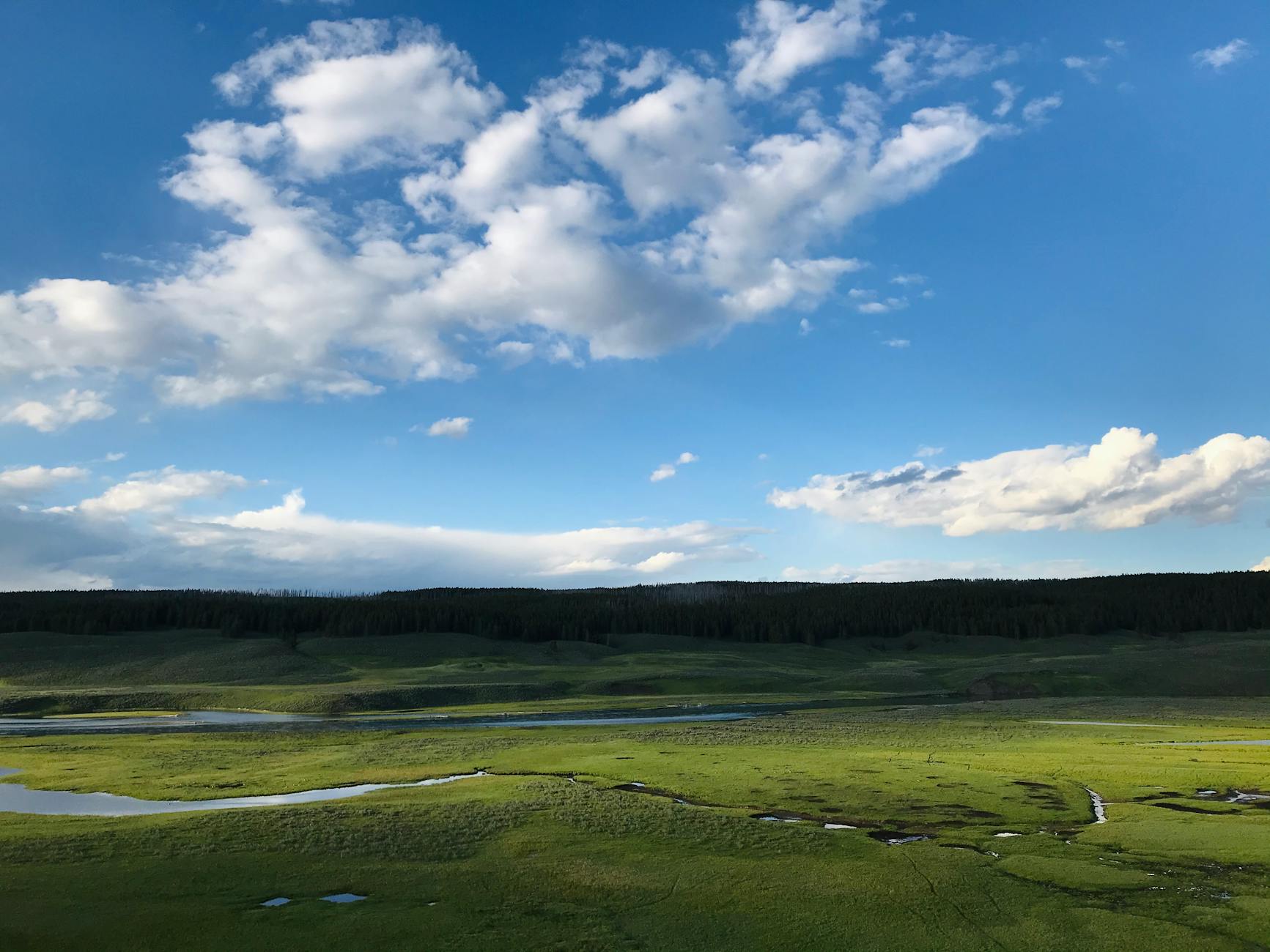 Detailansicht: Yellowstone Fortsetzung