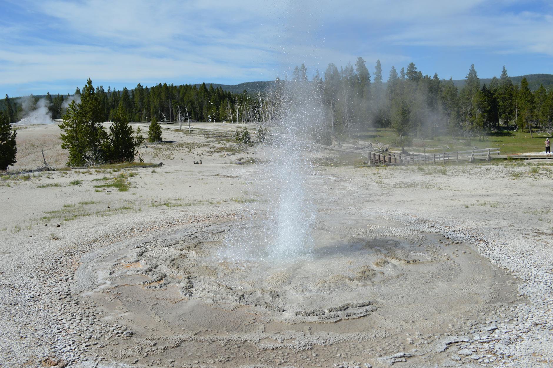 Detailansicht: Yellowstone Fortsetzung