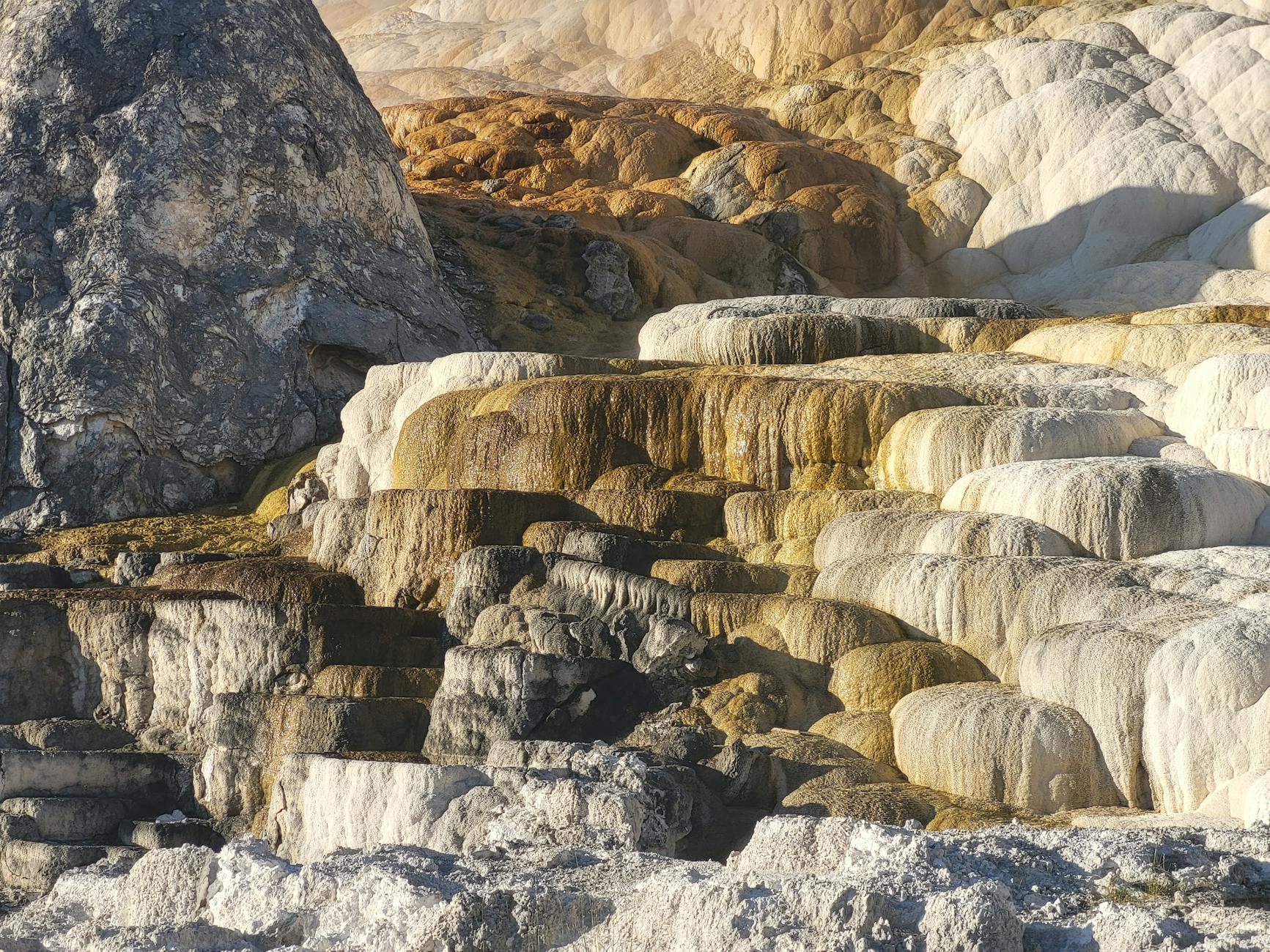 Symbolbild zum Thema Yellowstone Serie