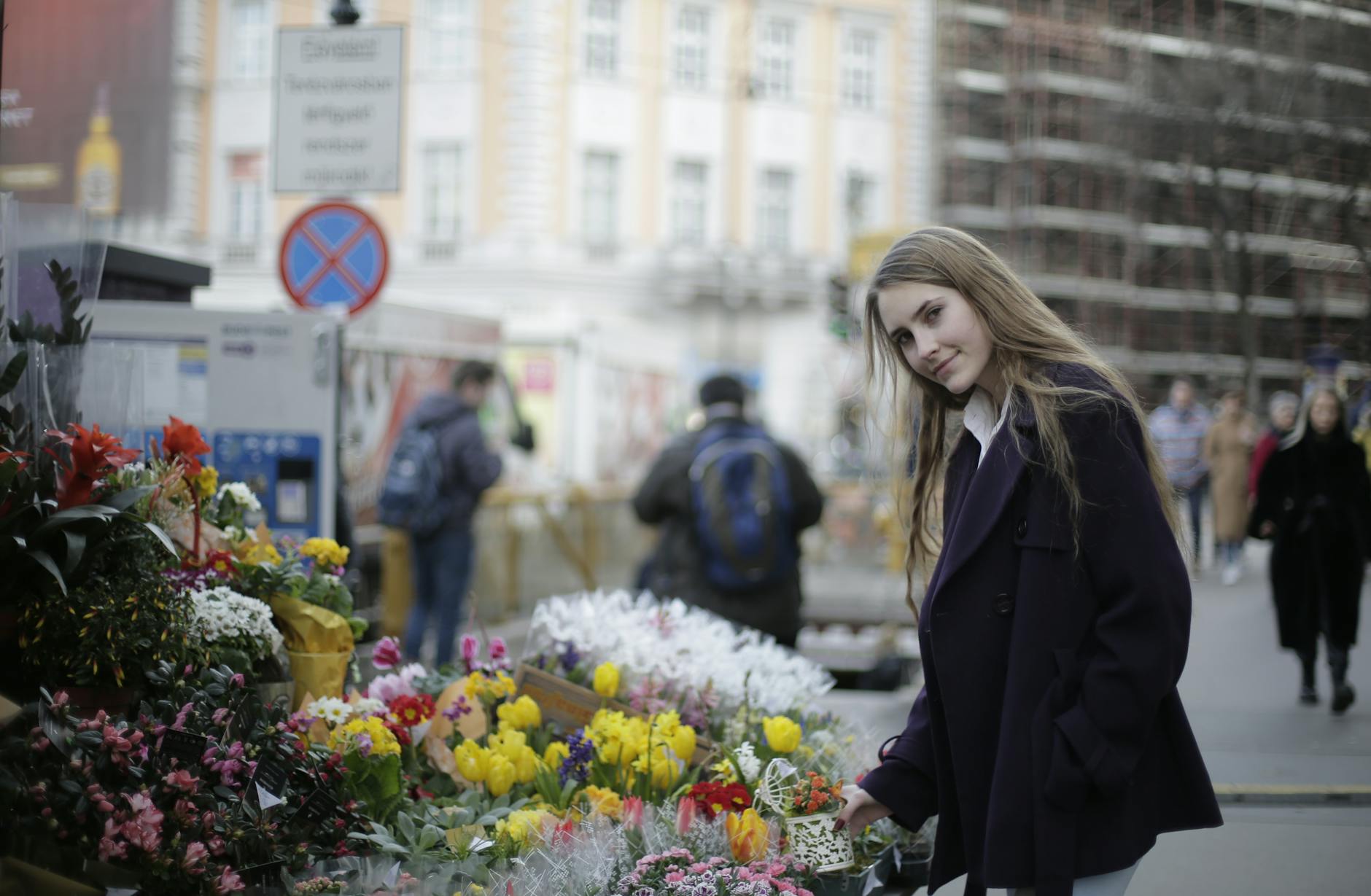 Young Violets – Austria Lustenau Illustration zu Young Violets – Austria Lustenau