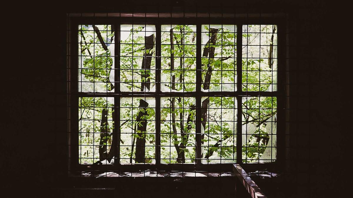 Symbolbild zum Thema ZDF Stream Olympia