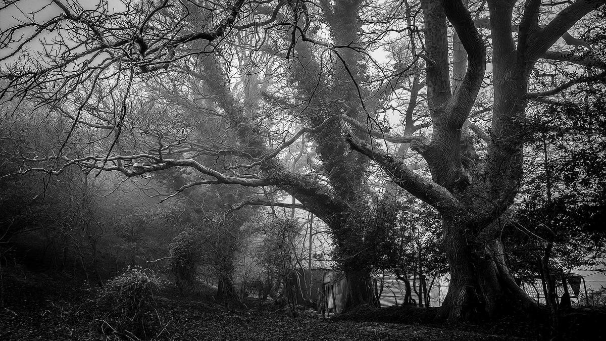 Zeitumstellung Merken Detailansicht: Zeitumstellung Merken