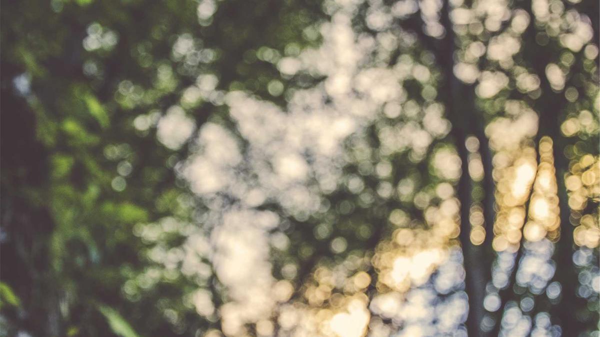 Detailansicht: Zeitumstellung Merken