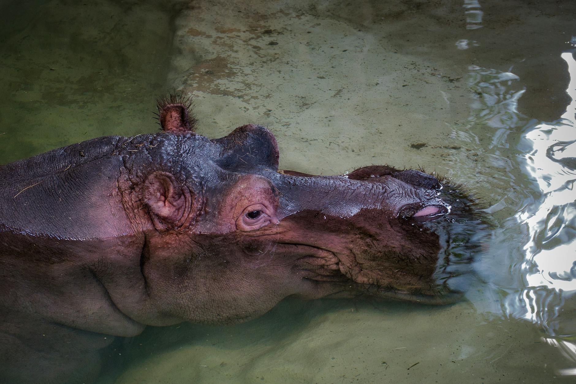 Illustration zu Zeugenaufruf Karlsruhe Polizei