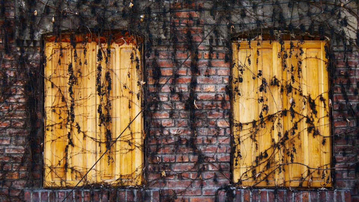 Detailansicht: Zeugenaufruf überholmanöver