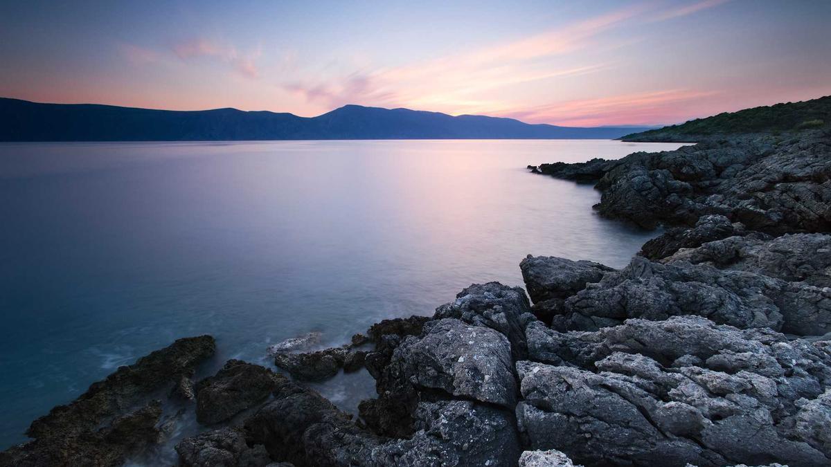 Zoo Bratwurst Erbsenprotein Illustration zu Zoo Bratwurst Erbsenprotein