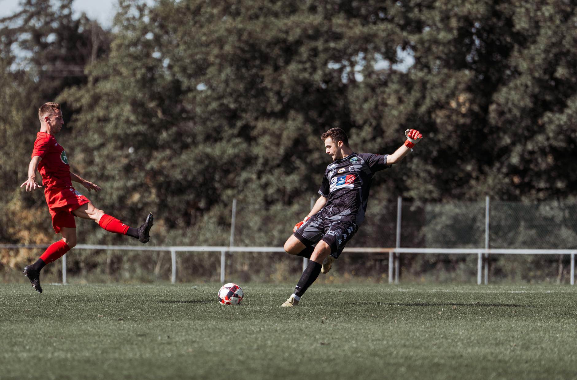 Symbolbild zum Thema ZSC Lions