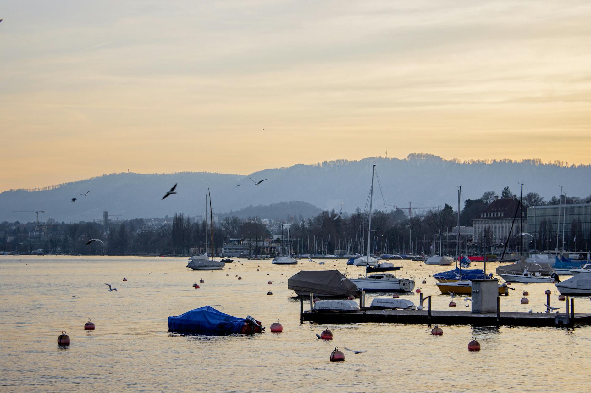 Symbolbild zum Thema Zürichsee Schwimmen Winter