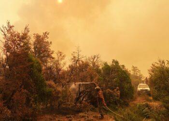 waldbrände patagonien