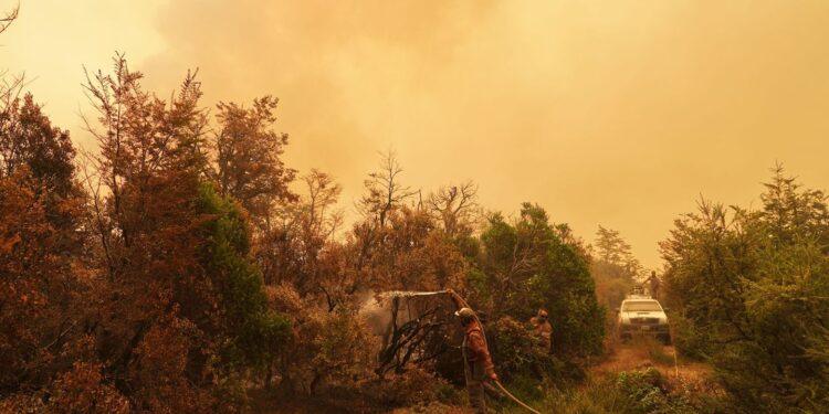 waldbrände patagonien