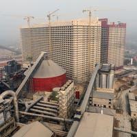 Weniger Kindergeld ins Ausland: Die CDU wärmt einen Vorschlag auf, an dem sie schon einmal scheiterte 3 600 000 Schweine in einem Hochhaus