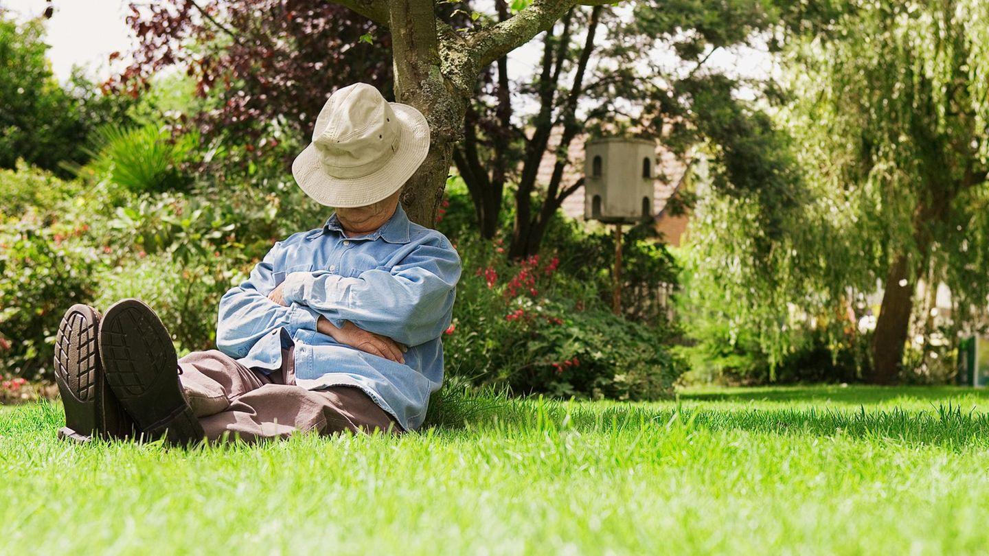 Jahr des Pferdes: Rekord-Reiseverkehr zum chinesischen Neujahrsfest erwartet 5 Fehlende Altersvorsorge: Wie viel Rente bekommt man, wenn man nie gearbeitet hat?