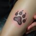 8 Tattoo Hundepfote mit Namen Ideen für Tierliebhaber 26 tattoo hundepfote mit namen-Titel